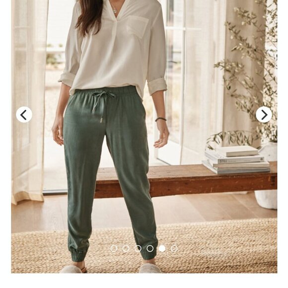 Garnet Hill olive green Tencel & Linen joggers size small - Picture 1 of 11
